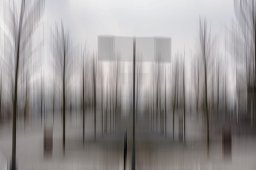 Guy Remans
