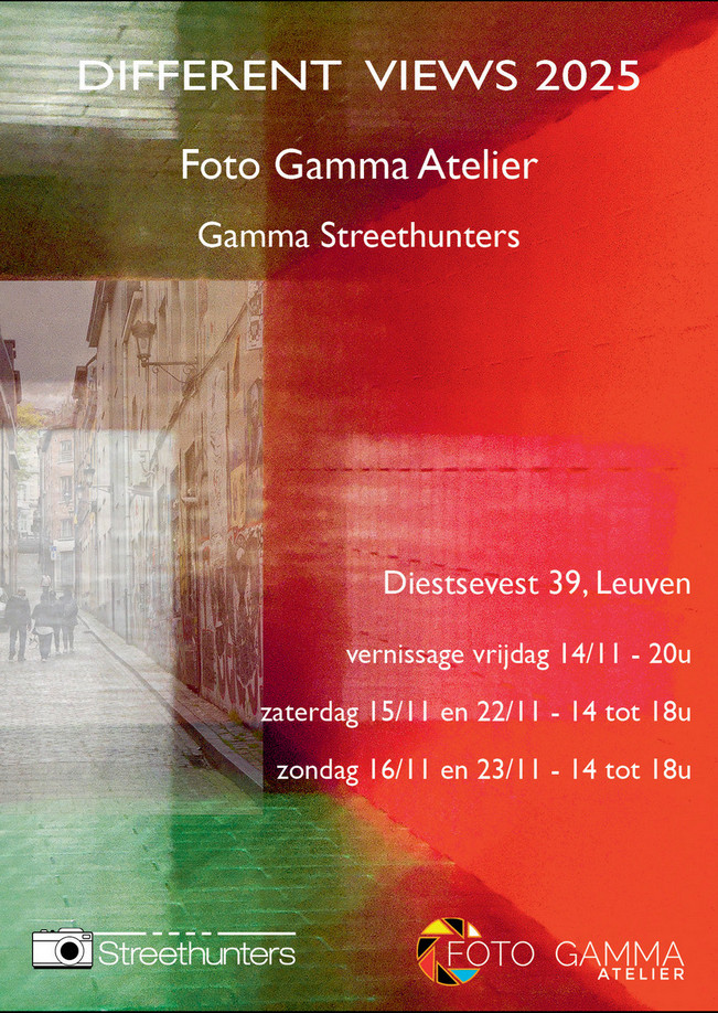 Different Views 2025 web